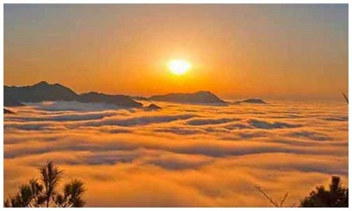 2026最新龙岛异兽手游官网官网入口在哪，附龙种强度排行